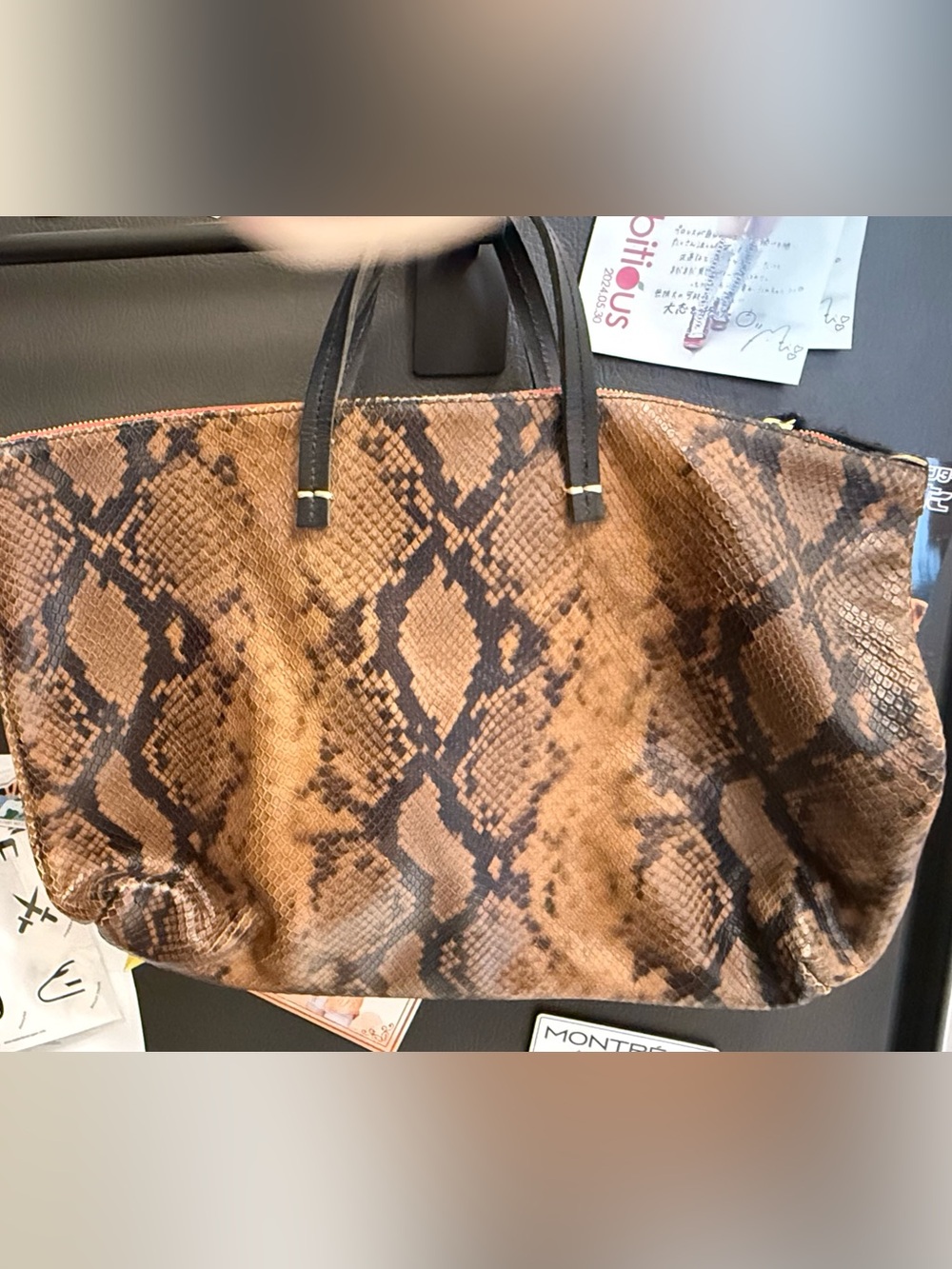 Clare V Brown Snake Attache Hard to Find